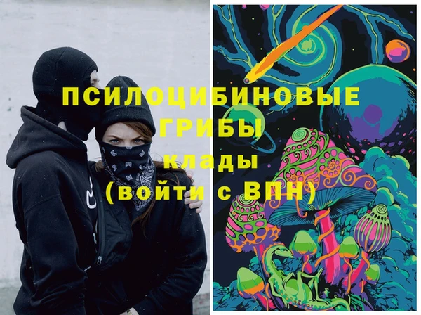 амф Алексин