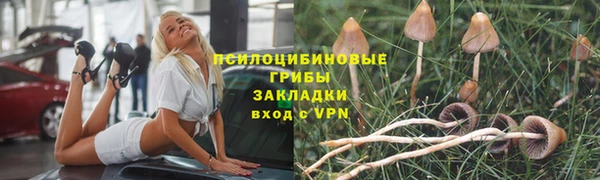 амф Алексин