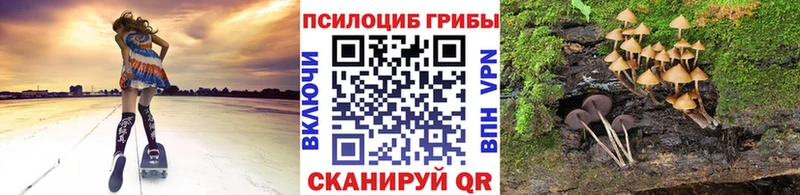 Псилоцибиновые грибы Cubensis Микунь